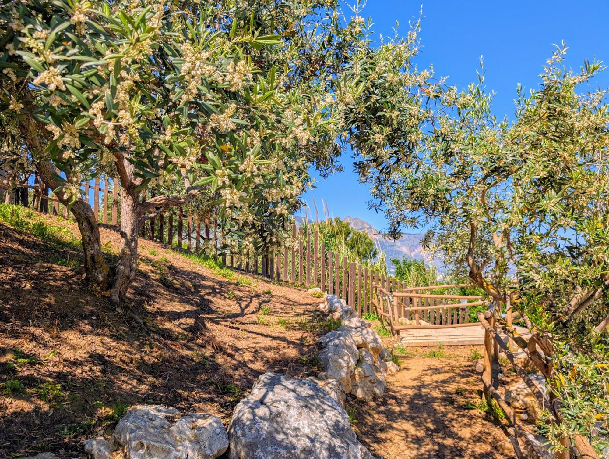 Ci Vulia B&B - Sicilia Sea, Pool, Bbq, Tv, Wi-Fi Alcamo Marina Luaran gambar